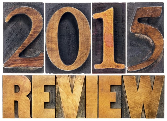 The Life You Can Save’s 2015 Year in Review