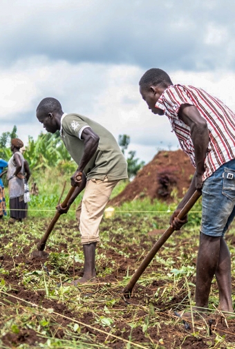 The Life You Can Save