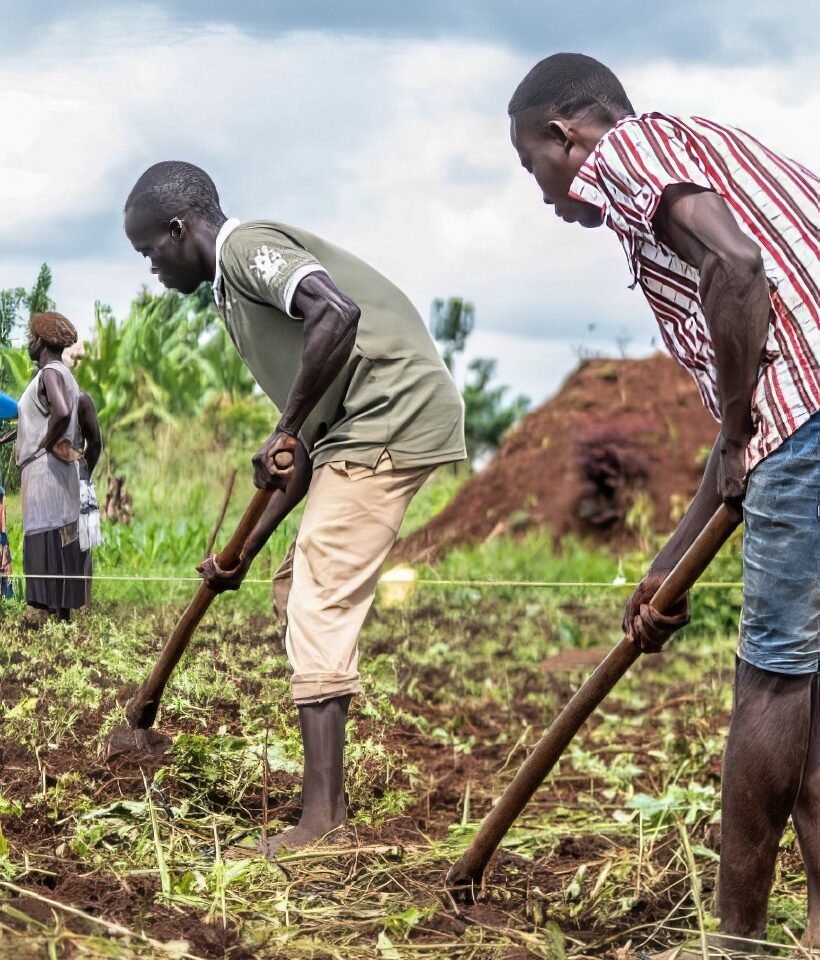 Farmers working a field together